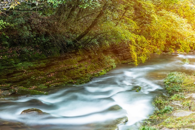 Free photo stream flowing through rocks