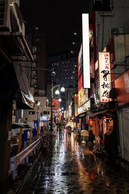 Street of japan urban landscape