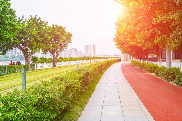 Foto gratuita strada e pista