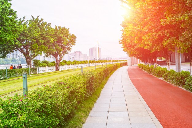 通りや滑走路