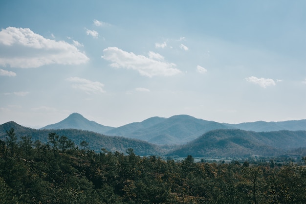 Free photo street thailand, nature