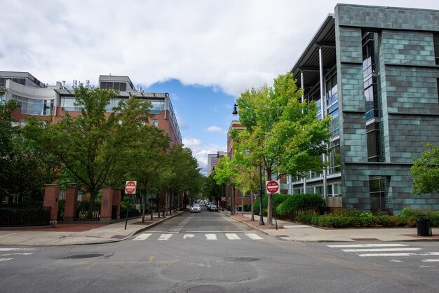 Street with modern buildings and green trees