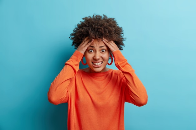 La giovane donna afroamericana sollecitata afferra la testa stringe i denti ha problemi ad essere in preda al panico non sa cosa fare soffre di mal di testa insopportabile indossa un maglione casual isolato sul muro blu.