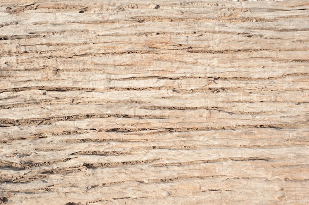 Free photo striped wood texture