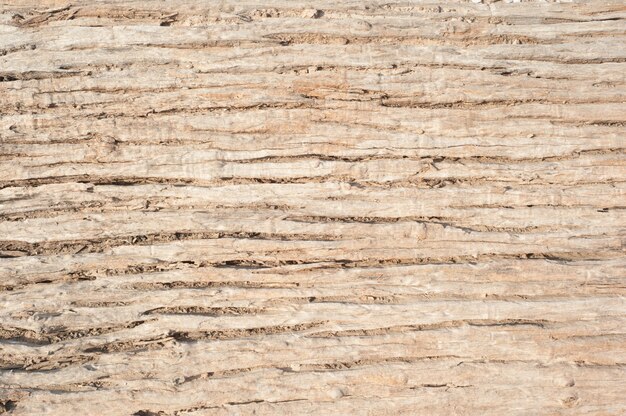 Полосатая текстура древесины