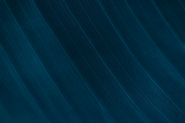 Бесплатное фото Полосы на синем листе