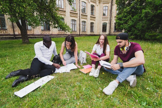 Students sitting on lawn reading