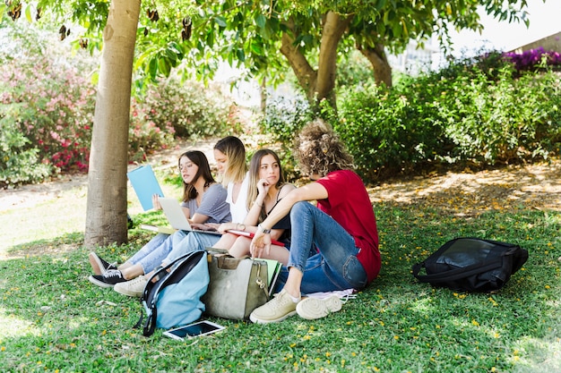 Students studying and chatting in park