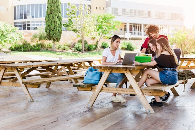 Students studying on sunny day