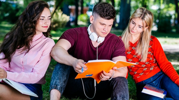 Foto gratuita studenti che studiano insieme nel parco