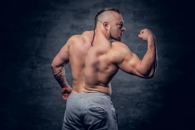 Studio portrait of shirtless bodybuilder from back grey background.
