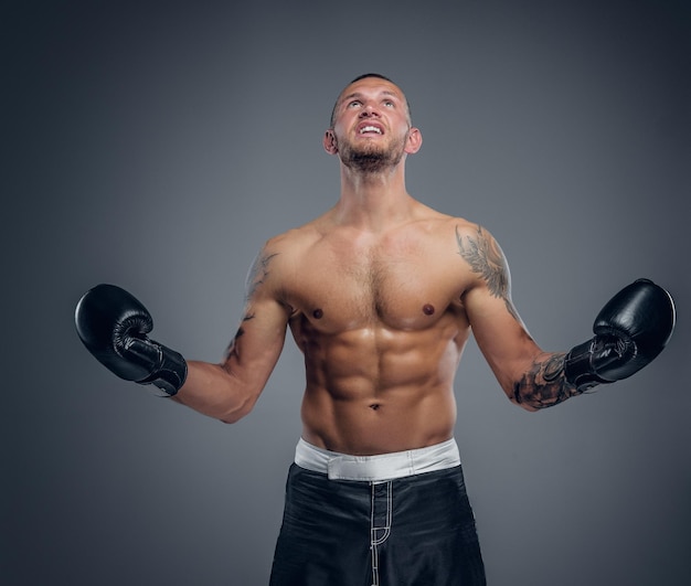 Studio portrait of the shirtless boxing fighter isolated on grey background.