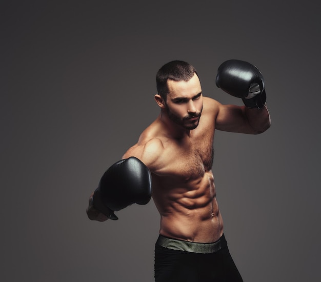 Studio portrait of a shirtless brutal athletic boxer wearing black boxing gloves on gray background.