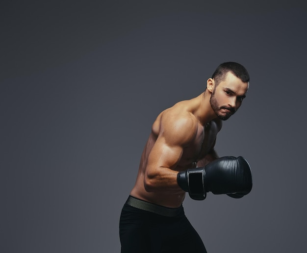 Studio portrait of a shirtless brutal athletic boxer wearing black boxing gloves on gray background.