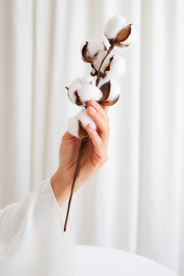 Free Photo studio portrait with hand holding cotton