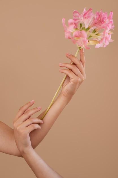 Studio portrait with hand holding pink flower