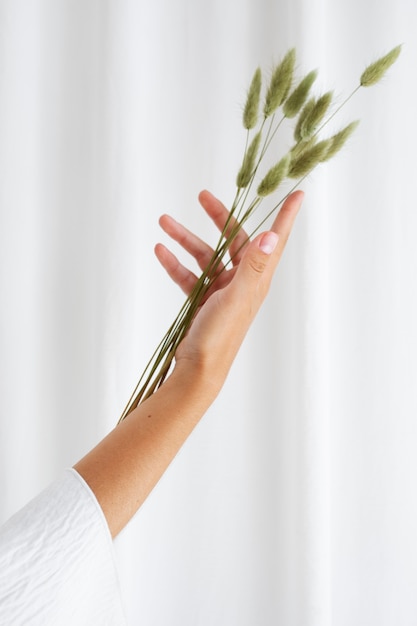 Free photo studio portrait with hand holding plants side view