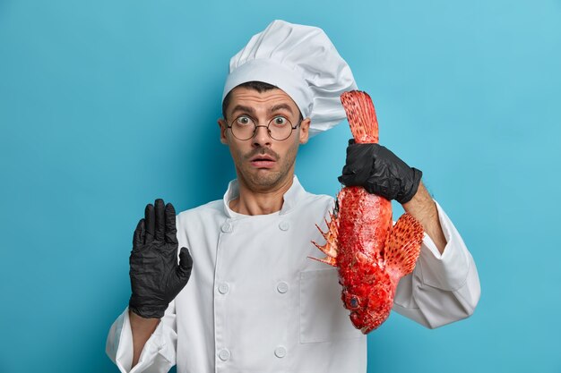 Stunned chef holds big fish, prepares meal from seafood, makes stop gesture looks with bated breath, gives food tips, has good culinary skills