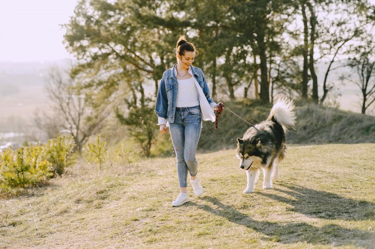 無料Photo 犬と日当たりの良いフィールドでスタイリッシュな女の子