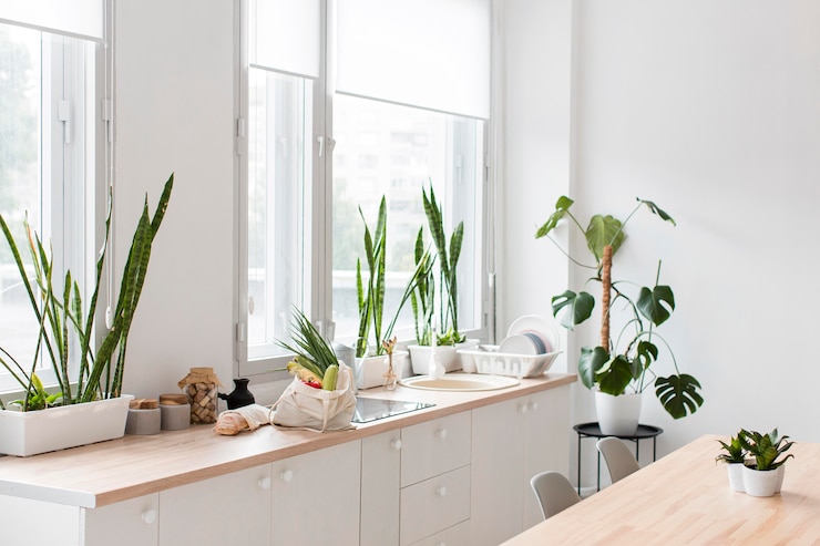 Free Photo stylish minimalistic kitchen with plants