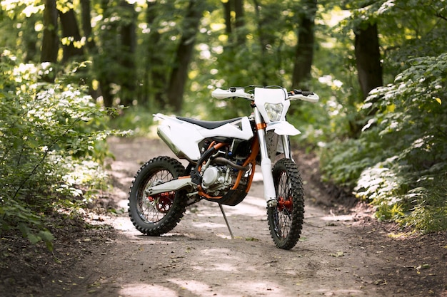 Stylish motorbike parked in the forrest