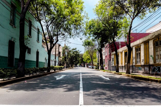 suburban road on a sunny day