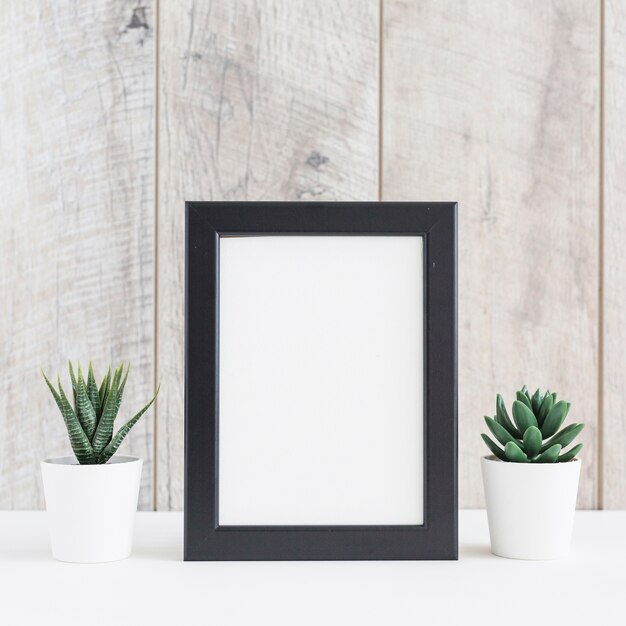 Succulent plant in two white pot with the blank picture frame against wooden wall