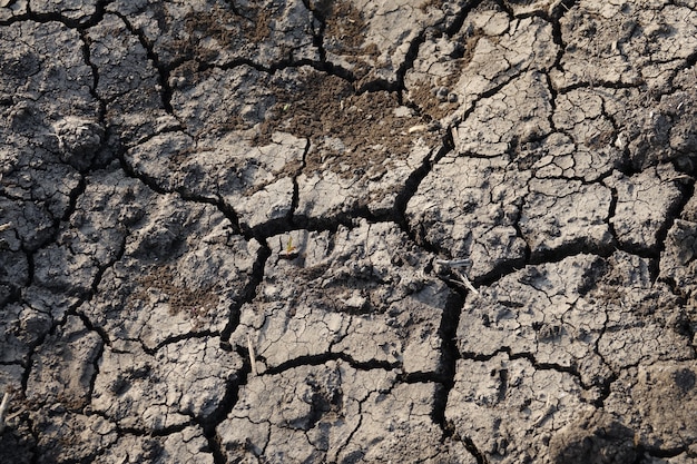 Foto gratuita suelo de tierra agrietado