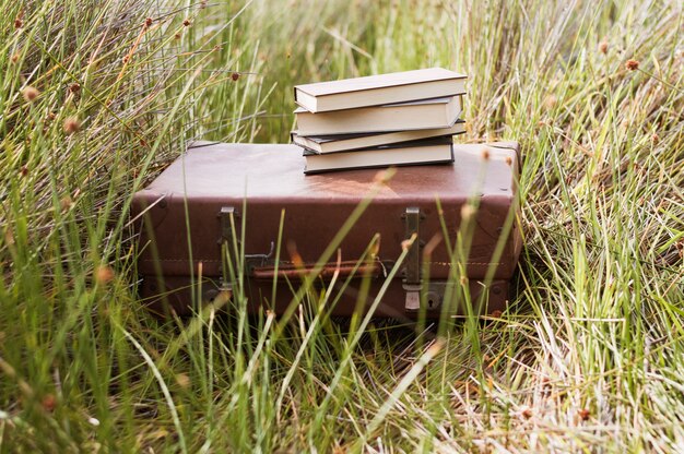 Suitcase with books on top in grass