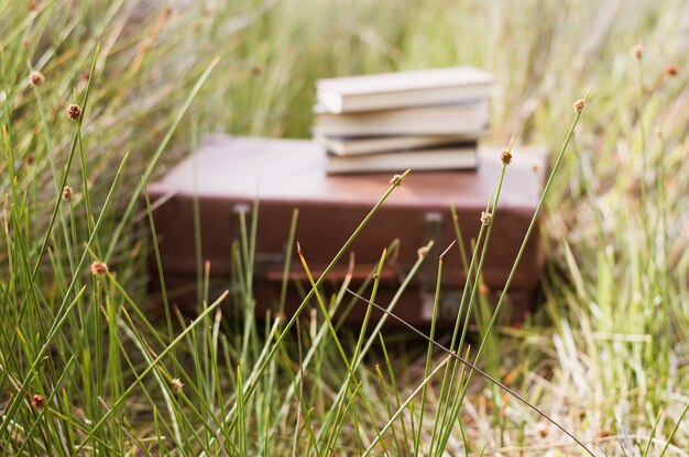 Suitcase with books on top