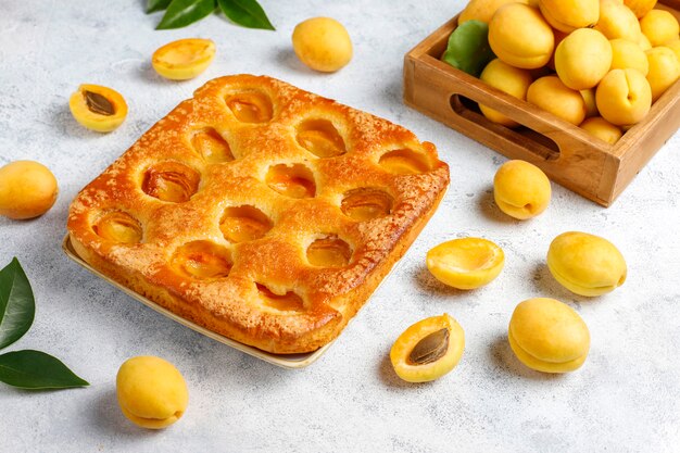 Summer apricot pie with fresh apricots