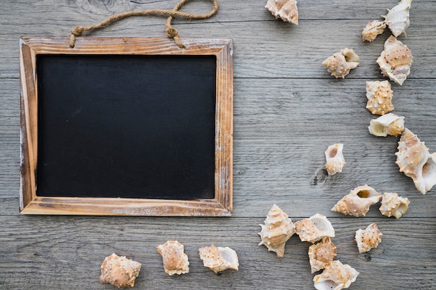 Summer background with blank slate and seashells