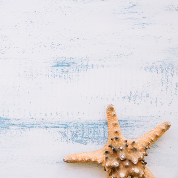 Summer background with starfish and copyspace