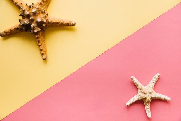 Summer background with starfish and copyspace