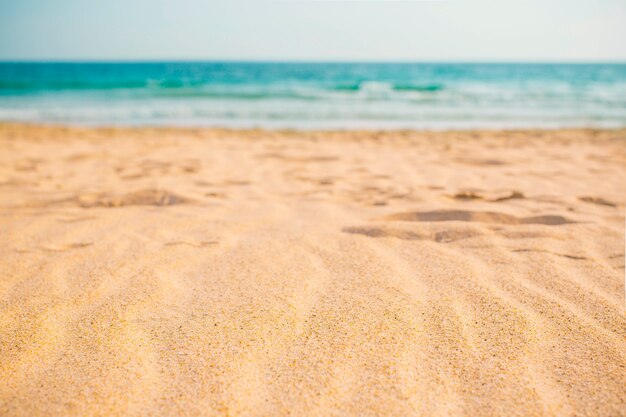 Летняя пляжная композиция для фона