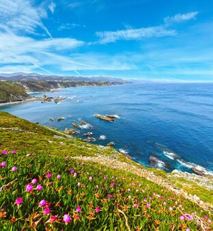 Летний цветущий пейзаж мыса видио (астурийское побережье, кудильеро, испания).