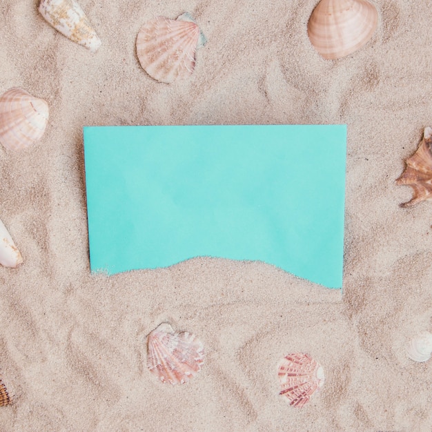 Summer composition with blank paper and seashells