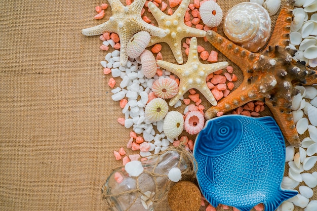 Summer composition with decorative shells and starfish