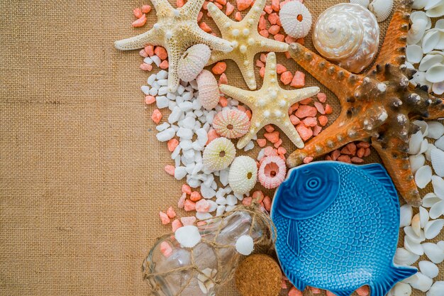 Summer composition with decorative shells and starfish