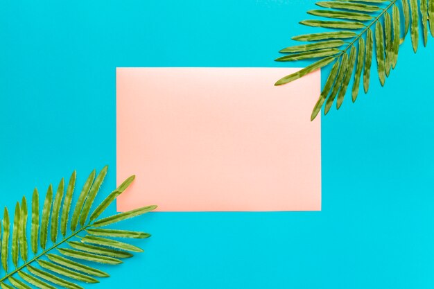 Summer composition with palm leaves