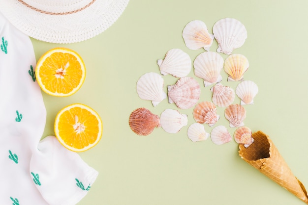 Summer composition with shells and cone