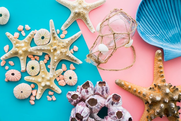 Summer composition with starfish and other decorative items