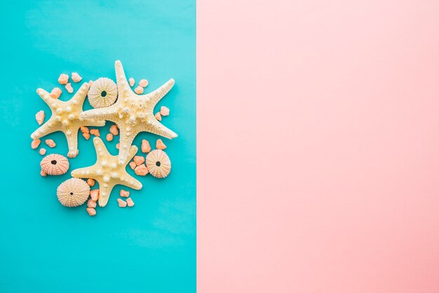 Summer composition with starfish and sea urchins on blue surface