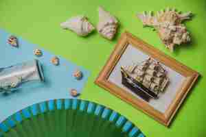 Free photo summer concept with frame and mollusks