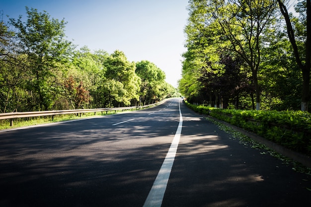 Free photo summer country road