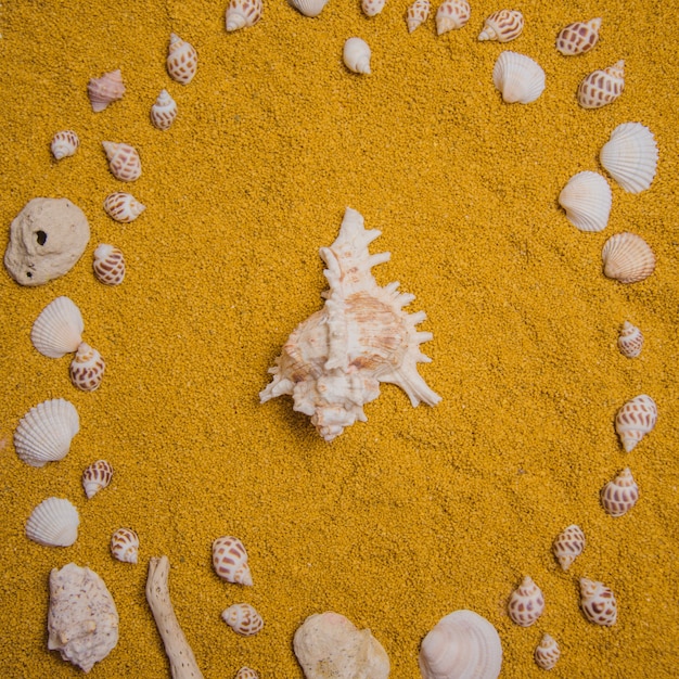 Summer decoration with seashells