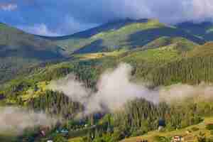 Foto gratuita paesaggio estivo in montagna e il cielo blu