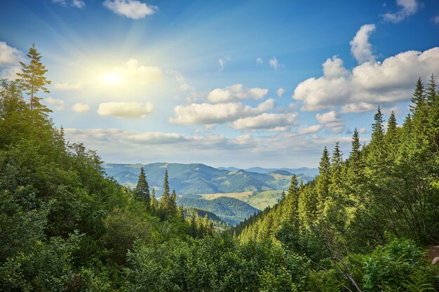 Summer landscape in mountains and the blue sky