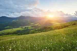 Free photo summer landscape in mountains and the blue sky