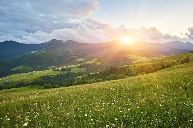 Summer landscape in mountains and the blue sky